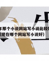 2025年那个小说网站写小说比较好：2025年（现在哪个网站写小说好）