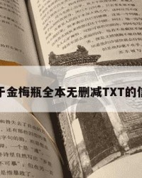 关于金梅瓶全本无删减TXT的信息