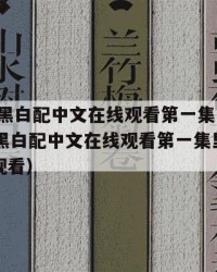 2025年黑白配中文在线观看第一集：2025年（黑白配中文在线观看第一集里白配中文在线观看）