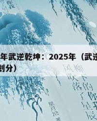 2025年武逆乾坤：2025年（武逆乾坤境界划分）