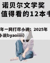 2025年一网打尽小说：2025年（一网打尽小说byaoiiii）