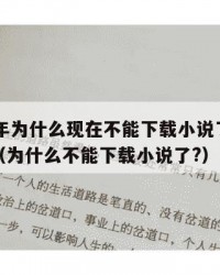 2025年为什么现在不能下载小说了：2025年（为什么不能下载小说了?）