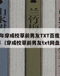 2025年穿成校草前男友TXT百度云：2025年（穿成校草前男友txt网盘）