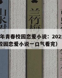 2025年青春校园恋爱小说：2025年（青春校园恋爱小说一口气看完）