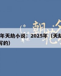2025年天劫小说：2025年（天劫小说怎么写的）