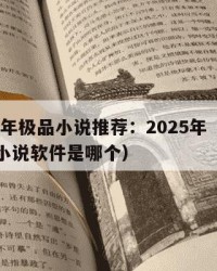 2025年极品小说推荐：2025年（极品阅读小说软件是哪个）
